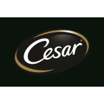 Cesar Logo